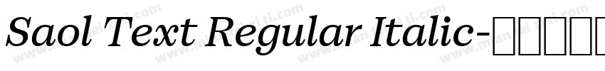 Saol Text Regular Italic字体转换